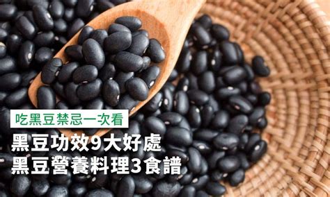 有什麼功效|黑豆功效9大好處4項禁忌一次看，黑豆營養料理3食譜